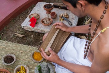 Palmblattlesung: Die Reise in die eigene Schicksalswelt Foto: © Nila Newsom @ shutterstock