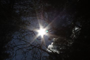 Die Bedeutung der Rauhnächte: Nutzen Sie Ihre Kraft und den Zauber für sich!  Foto: &copy;  A._Rosengren @ shutterstock