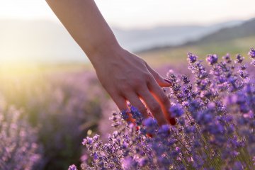 Past Life Regression: Rckfhrung in alte Leben und spirituelle Guides entdecken!  Foto: ©  Grigor.jpeg @ AdobeStock