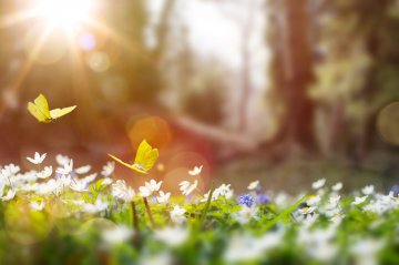 Kennen Sie Ihre Seelenzahl? Foto: © Konstiantyn.jpeg @ AdobeStock