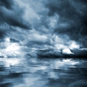 Vidovitost Foto: © vencav @ Fotolia Vidovitost Foto: © vencav @ Fotolia
